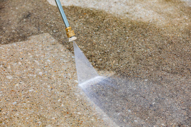 Best Roof Washing  in Deerfield Beach, FL